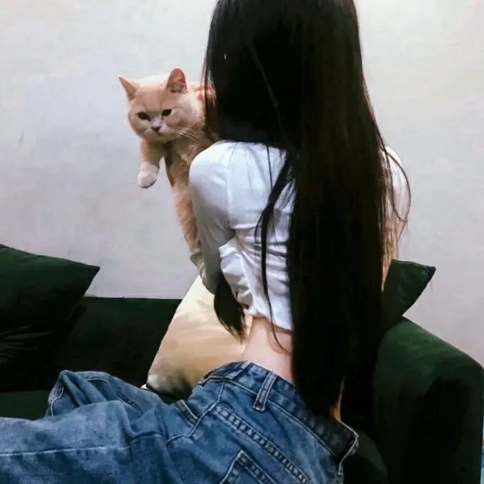 午后三点的彩虹海报