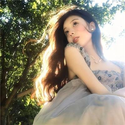 网美嬉游记海报