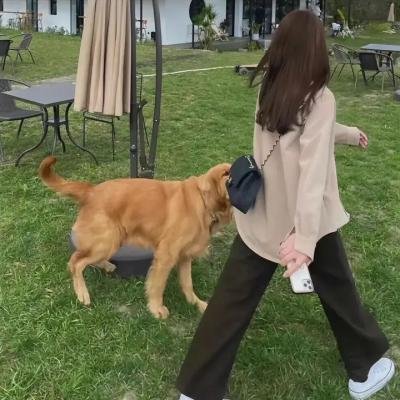 花开有晴天第2季海报
